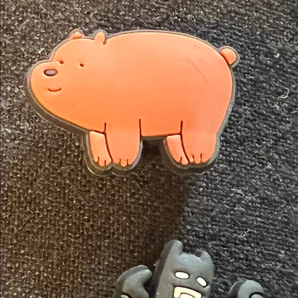 Croc charms